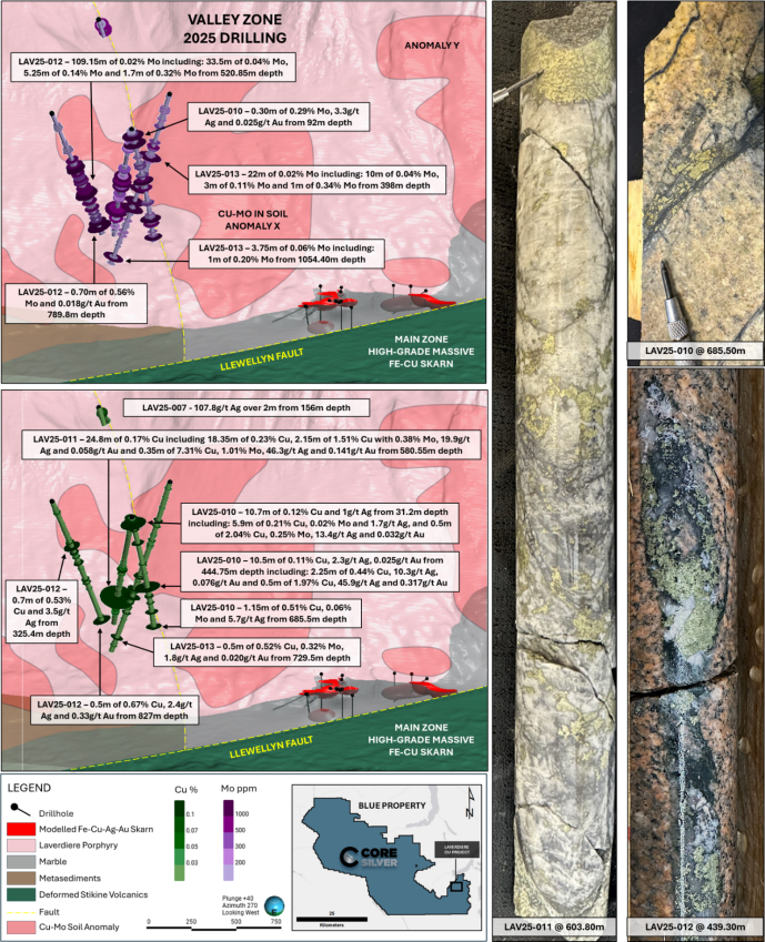 Hochreines Molybdän-Blech 99,99% – 100 X 100 Mm, Dicke 0,025 Bis 1,2 Mm – Vielseitig Einsetzbar