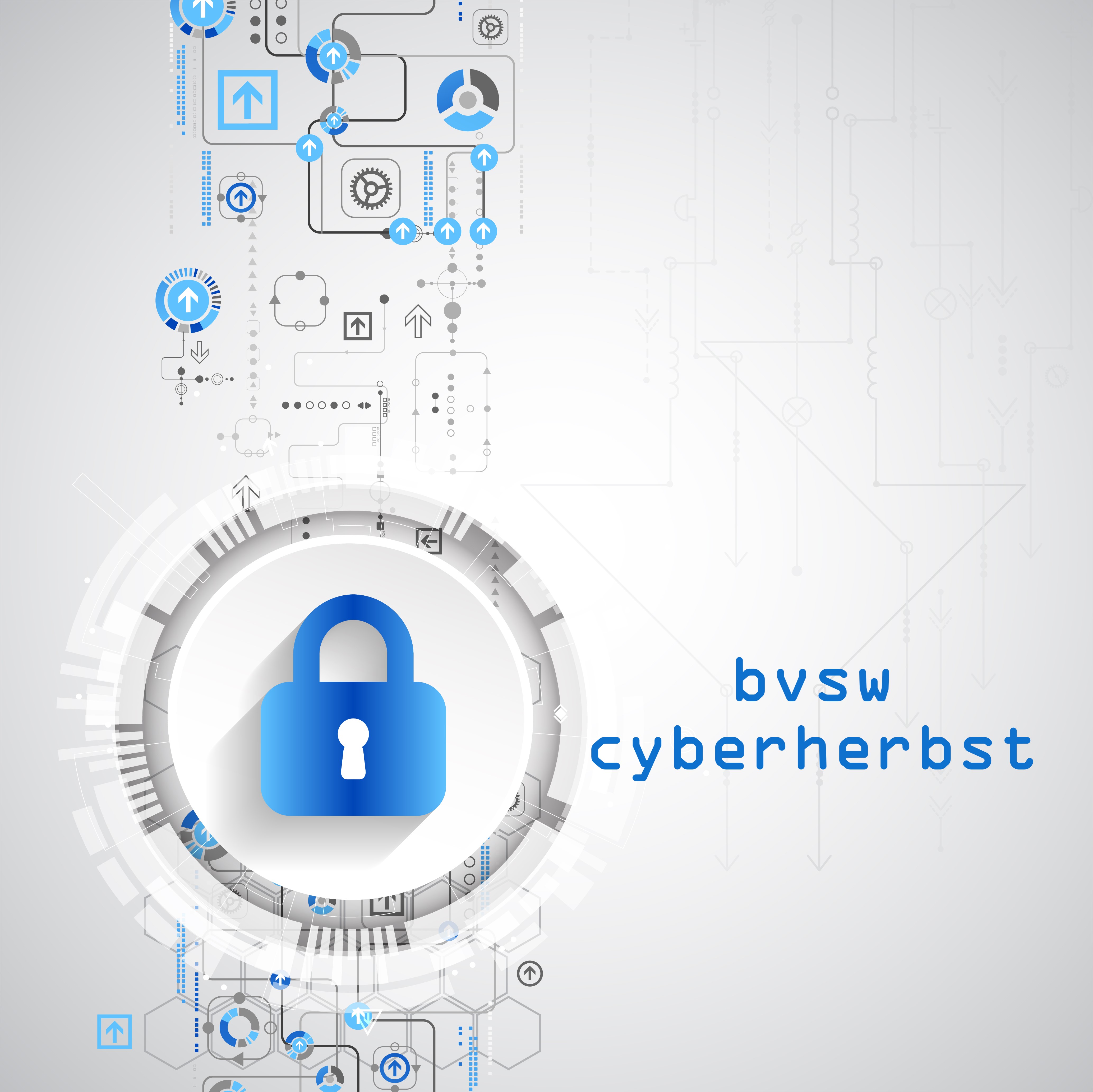 BVSW Cyberherbst: Cyberangriff – Risiken Minimieren Und Richtig Handeln ...