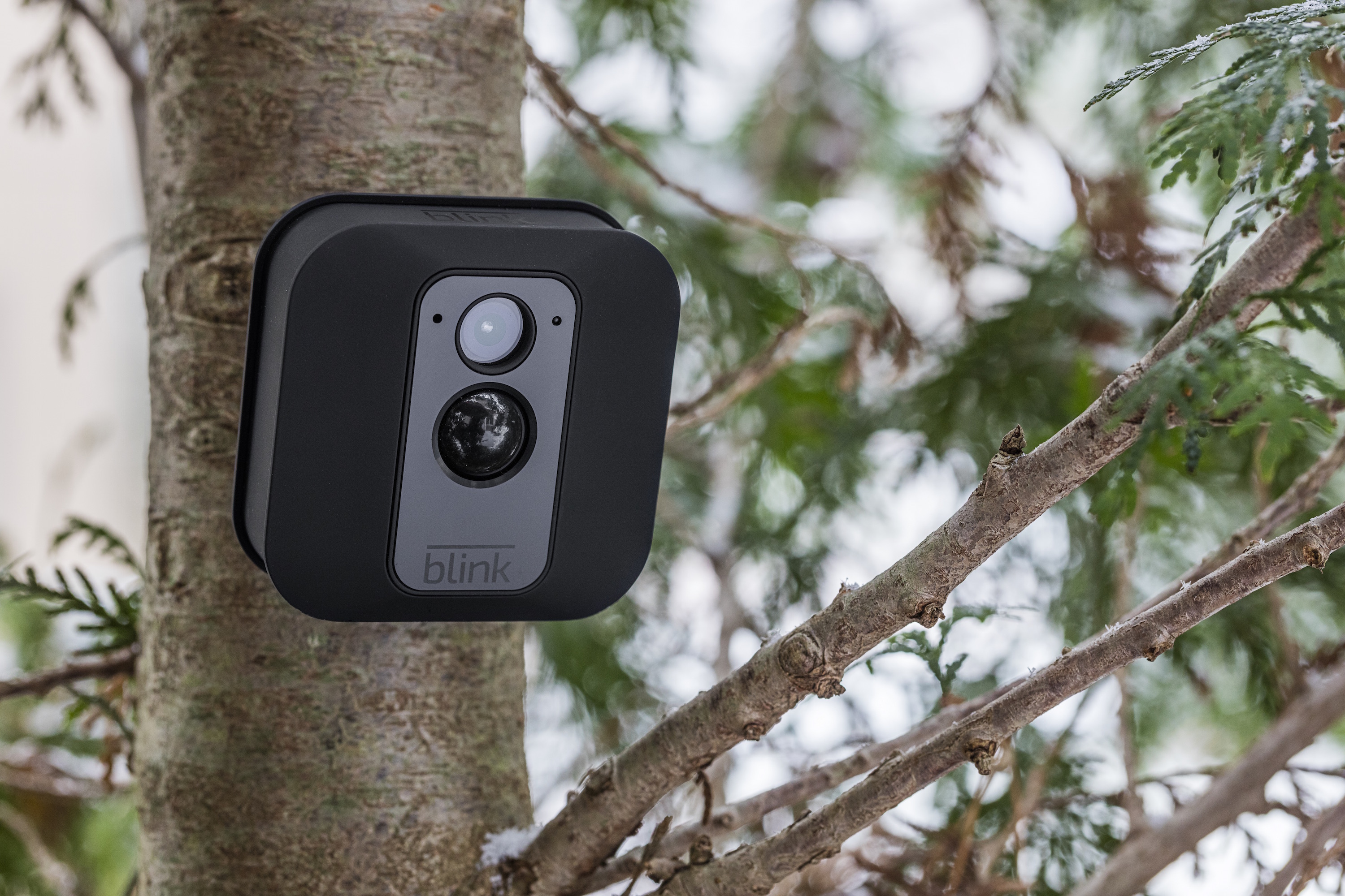 Линейка на камере телефона. Blink Outdoor Camera. Камера наблюдения беспроводная для улицы. Камера умный дом. Беспроводная всепогодная камера для леса.