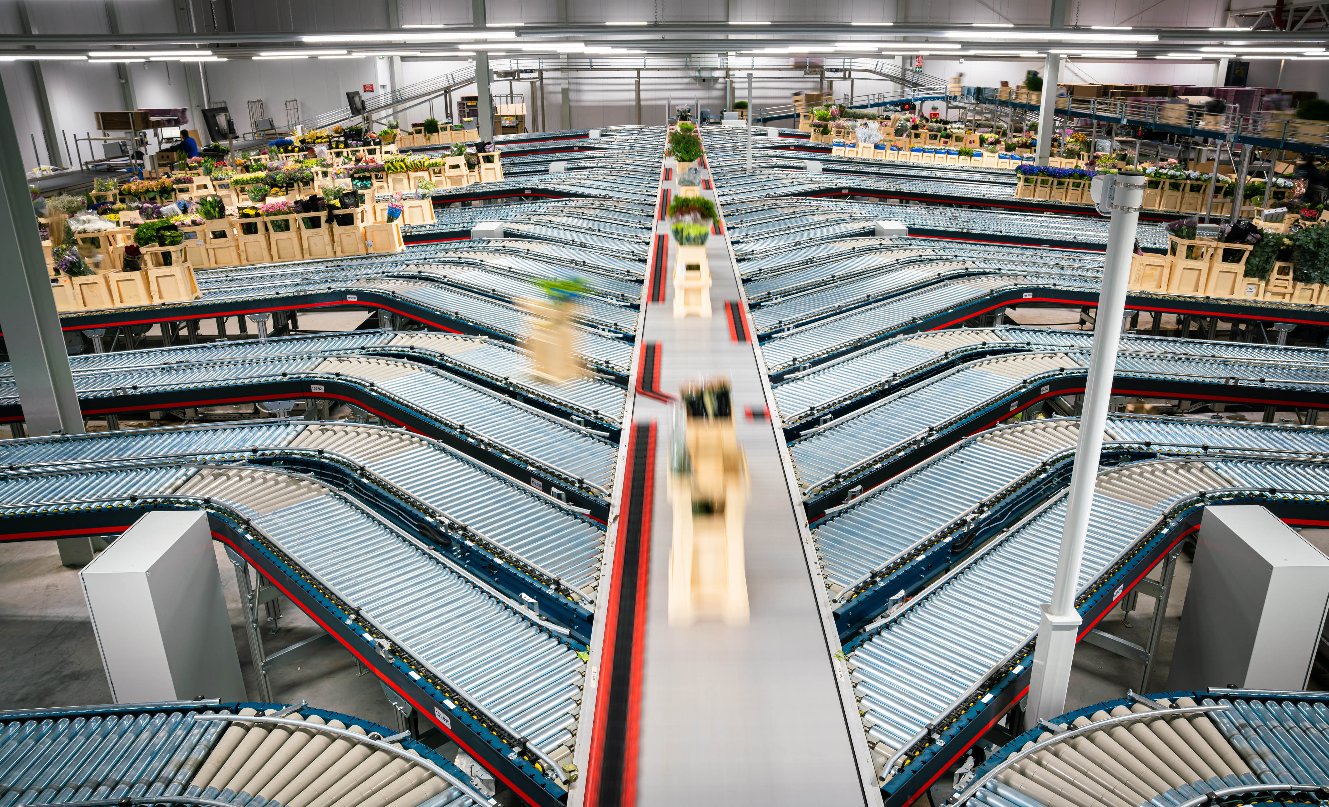 MHS automatisiert zentrales Distributionszentrum der Hoek Group