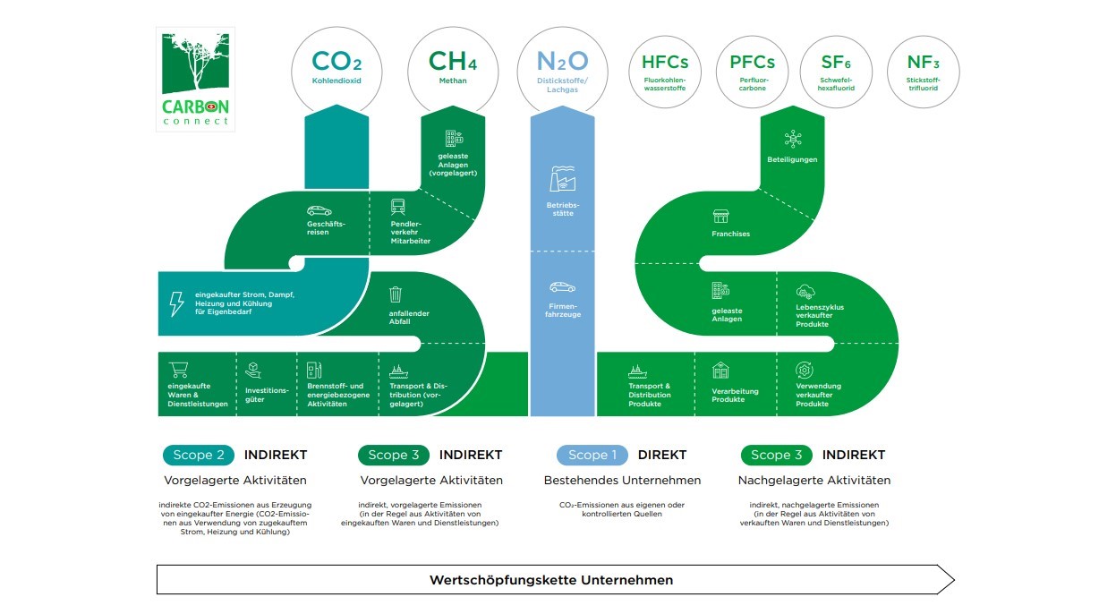 Klimaneutral Vs. Net Zero (Netto Null): Was Ist Der Unterscheid ...