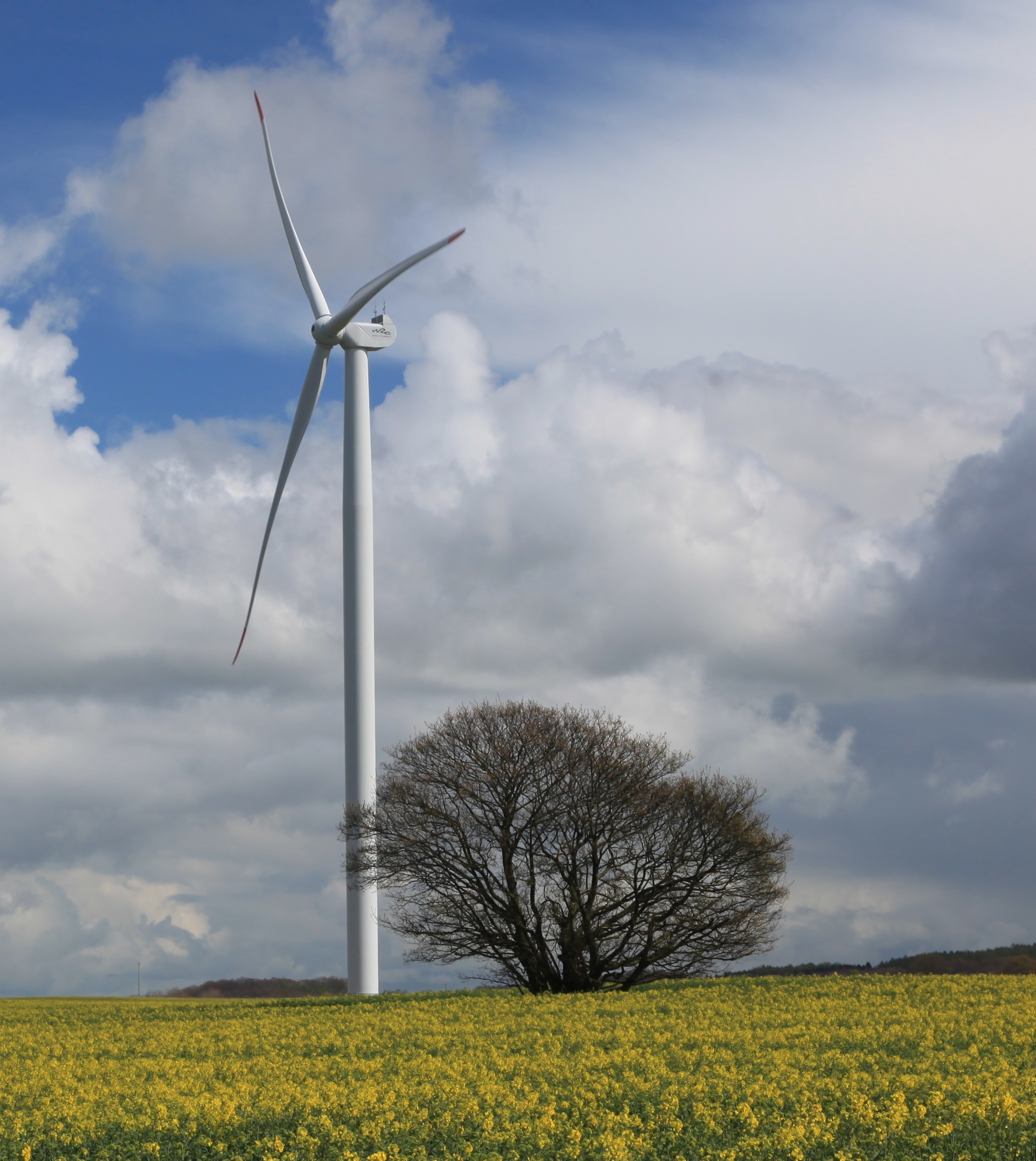 USA wind turbine maker to produce W2E design W2E Wind To Energy