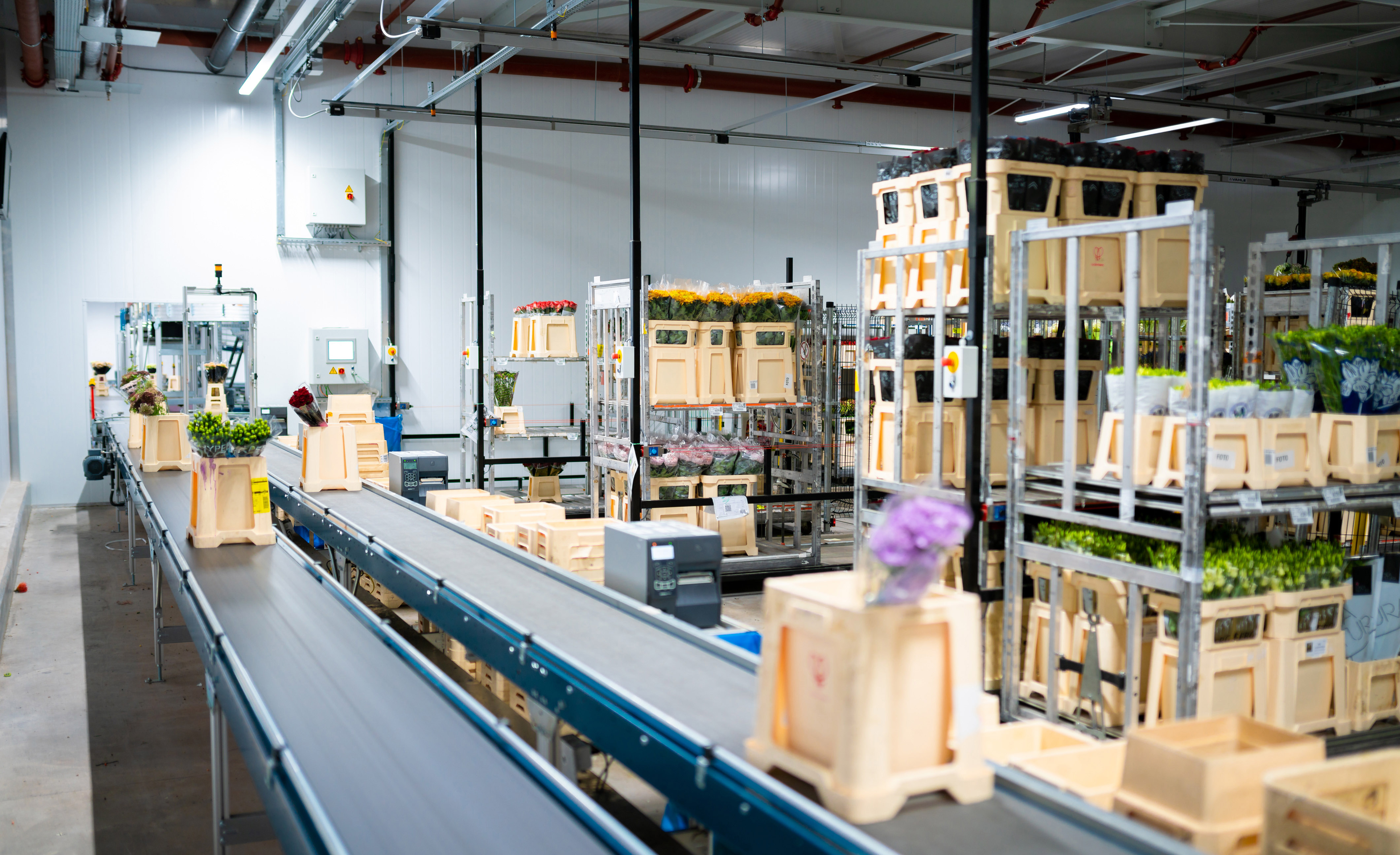 MHS automatisiert zentrales Distributionszentrum der Hoek Group