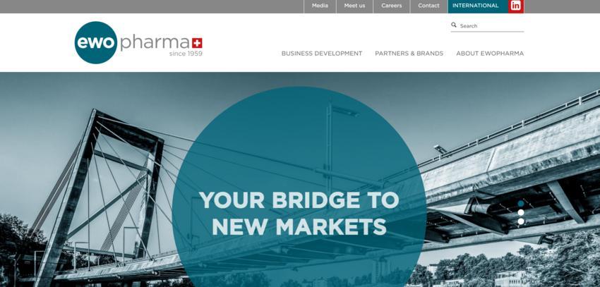 Website Promotion