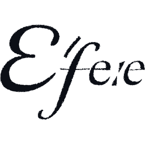 Company logo of efee consult GmbH