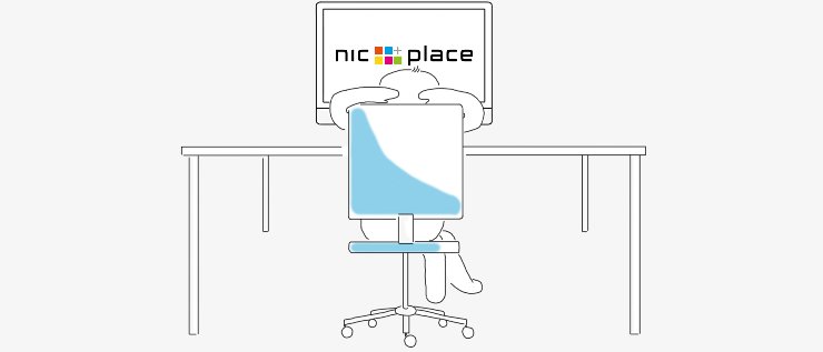 Cover image of company NIC-place