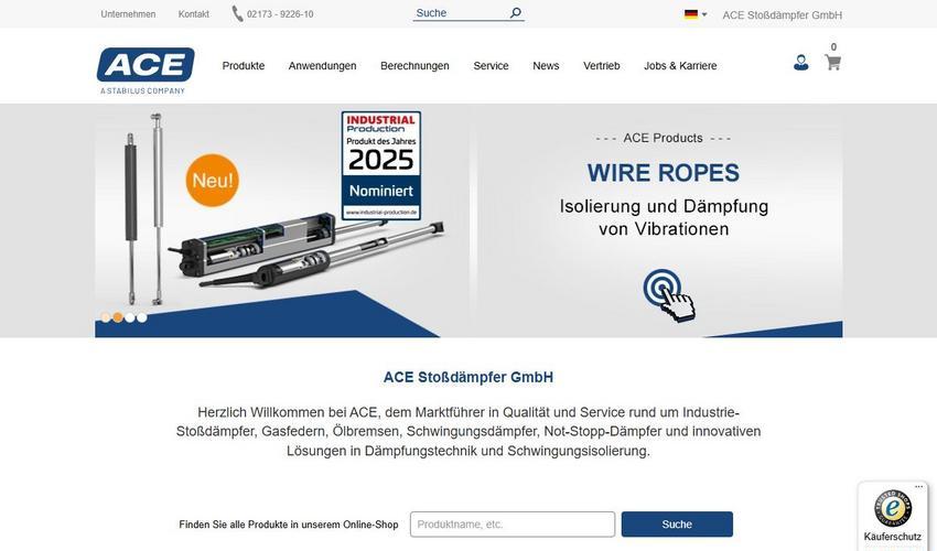 Website Promotion