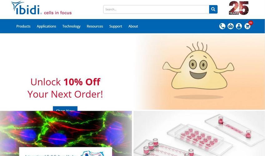 Website Promotion