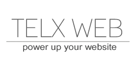 Logo der Firma Telx Web