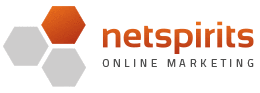 Logo der Firma NetSpirits Web-Consulting