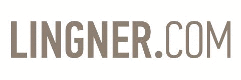 Logo der Firma Lingner Consulting New Media GmbH