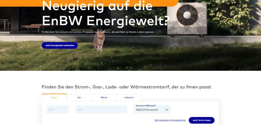 Website Promotion