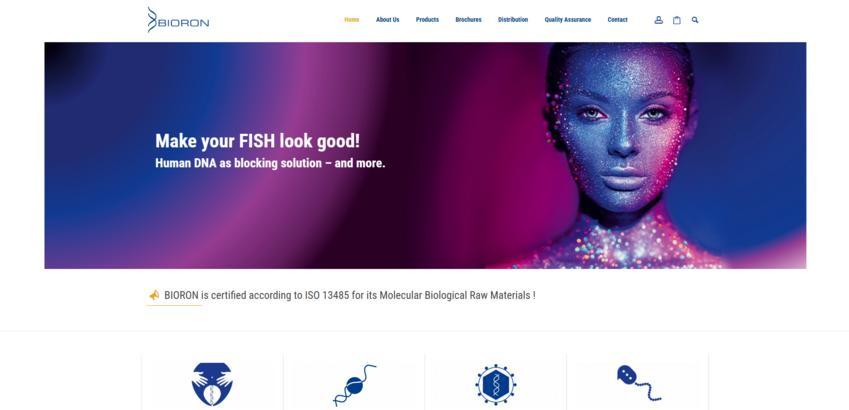Website Promotion
