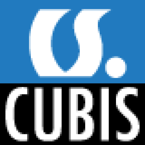 Logo der Firma CUBIS Solutions GmbH