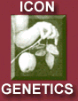 Logo der Firma Icon Genetics GmbH
