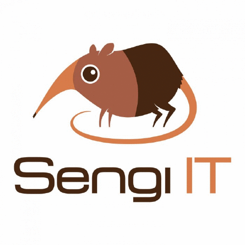 Logo der Firma Sengi IT UG
