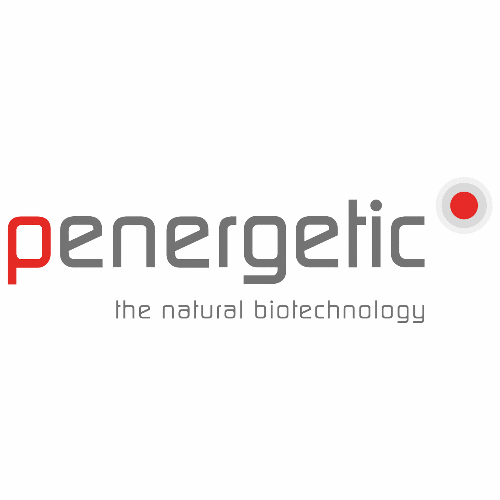 Logo der Firma Penergetic International AG