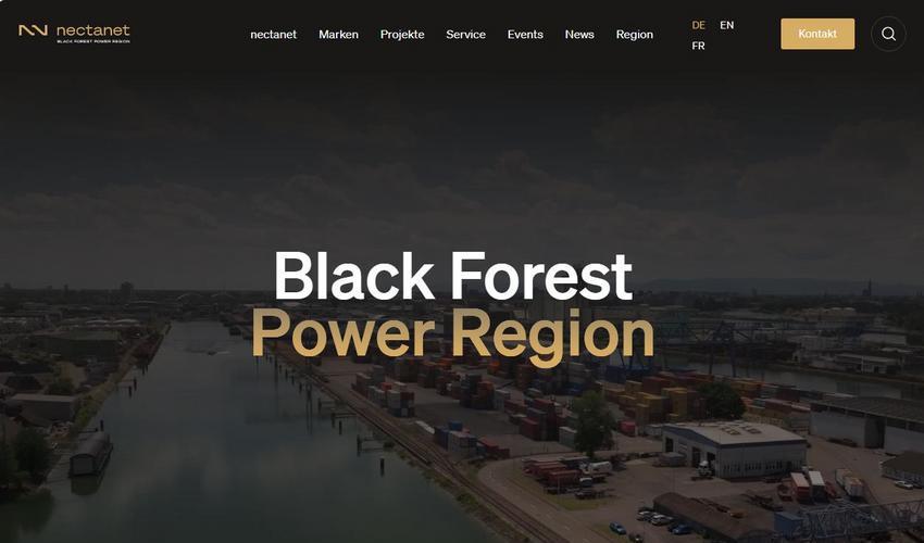 Website Promotion