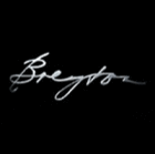 Logo der Firma bd breyton design gmbh