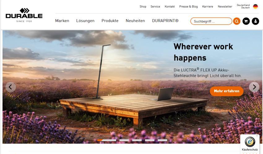 Website Promotion