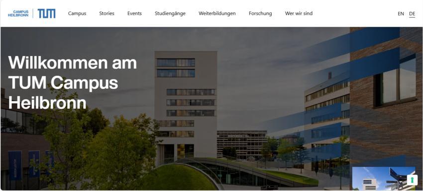 Website Promotion