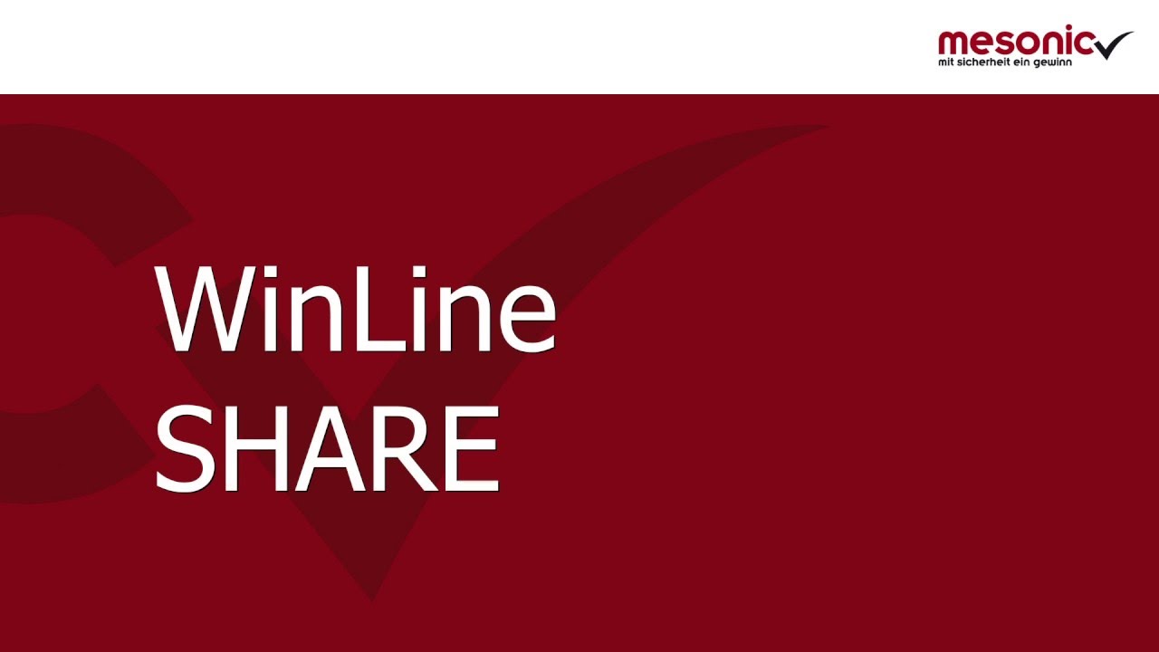 mesonic WinLine Share - Social Collaboration