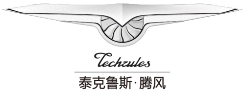 Logo der Firma Techrules