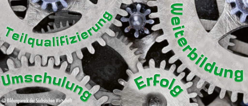 Cover image of company Bildungswerk der Sächsischen Wirtschaft gGmbH