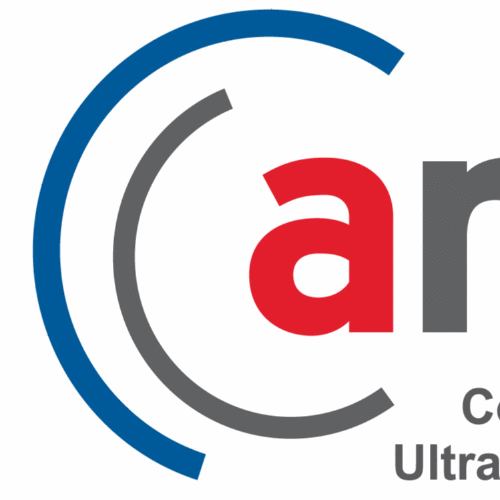 Logo der Firma ANNA/C-TRUS GmbH