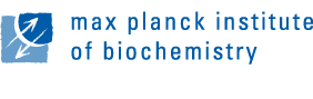 Logo der Firma Max Planck Institute of Biochemistry
