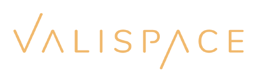Logo der Firma Valispace GmbH