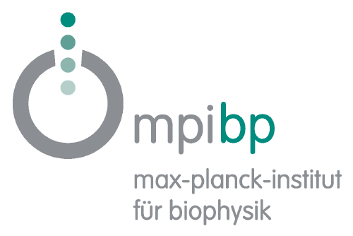 Logo der Firma Max-Planck-Institut für Biophysik