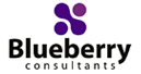 Company logo of Blueberry Consultants Ltd