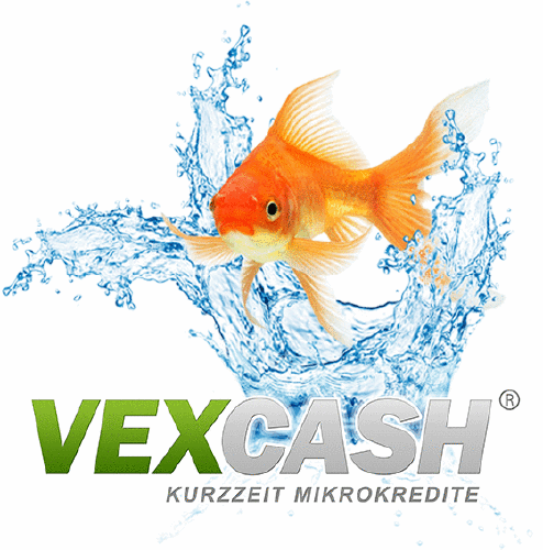 Logo der Firma VEXCASH AG