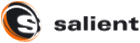 Logo der Firma salient GmbH