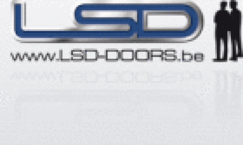Logo der Firma LSD-Doors