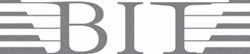 Logo der Firma BIT Analytical Instruments GmbH