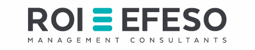 Logo der Firma ROI-EFESO Management Consulting AG
