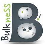 Logo der Firma Bulkness