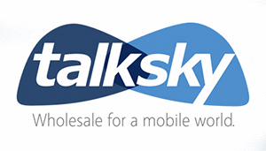 Logo der Firma Talksky Großhandels GmbH