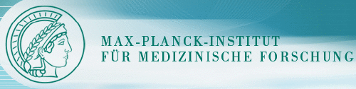 Logo der Firma Max-Planck-Institut für medizinische Forschung