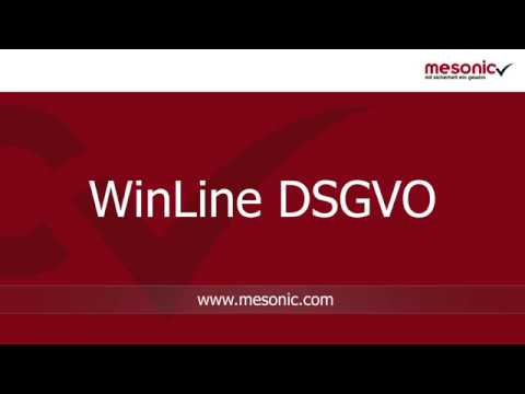 mesonic WinLine DSGVO in Kürze