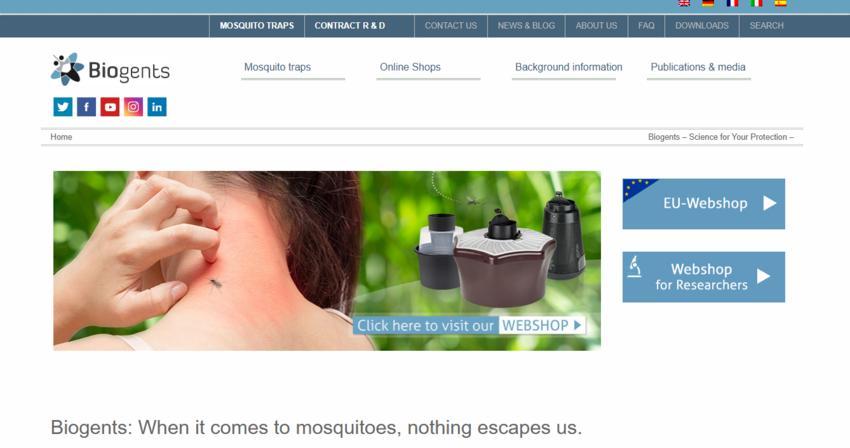 Website Promotion