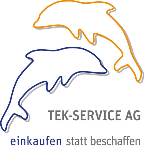 Logo der Firma TEK-SERVICE AG