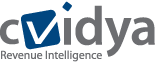 Logo der Firma cVidya Networks Ltd.