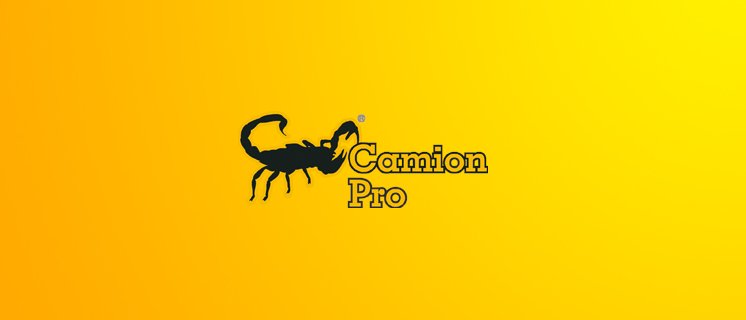 Cover image of company Camion Pro e.V.