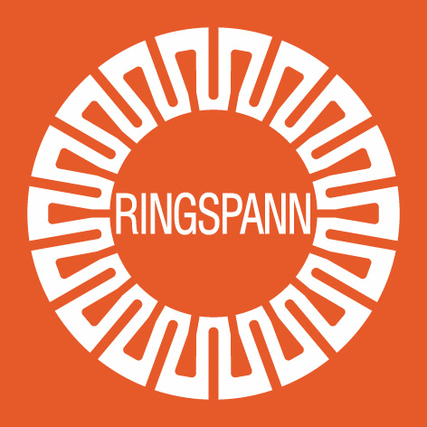 Logo der Firma RINGSPANN GmbH
