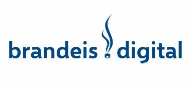 Logo der Firma Brandeis Digital GmbH