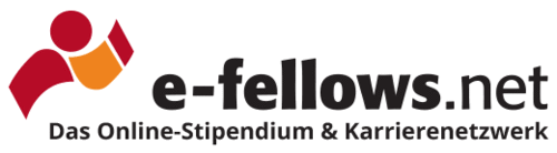 Logo der Firma e-fellows.net GmbH & Co KG