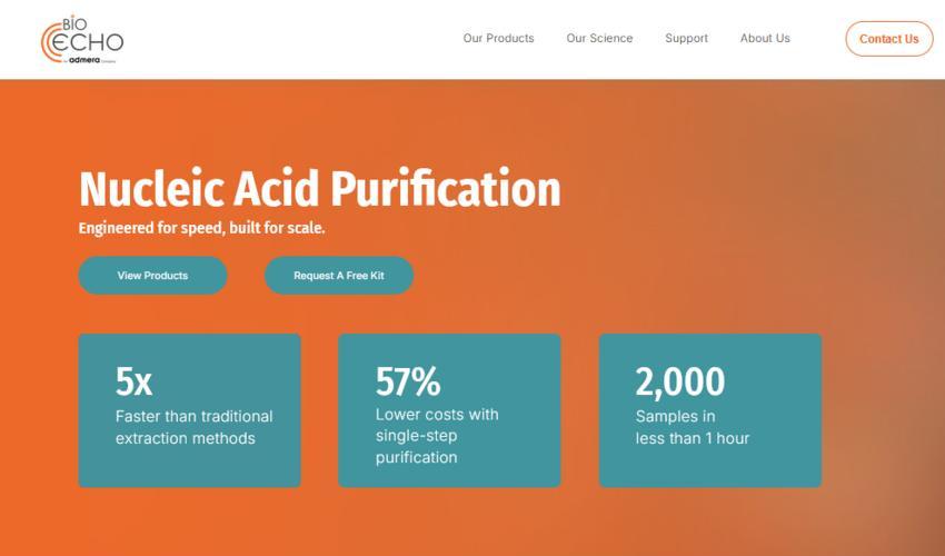 Website Promotion